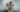 Bucherer-Masterworks-Ausstellung-2023-Jon-Emmony-Cover