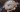 Phillips-Geneva-Watch-Auction-XVII-Highlights-Mai-2023