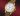 christies-passion-for-time-philippe-dufour-grande-petite-sonnerie-no-1